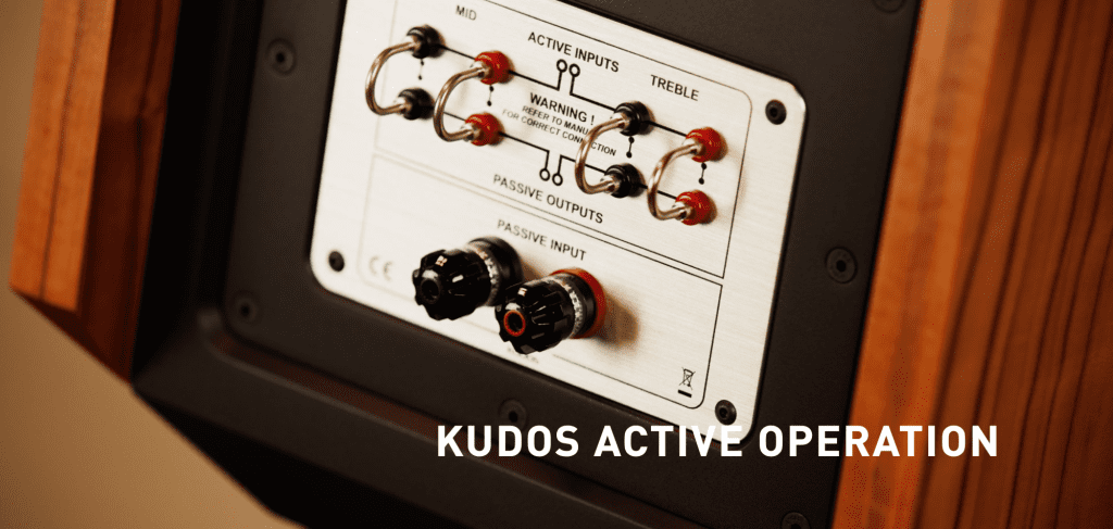 Kudos Active