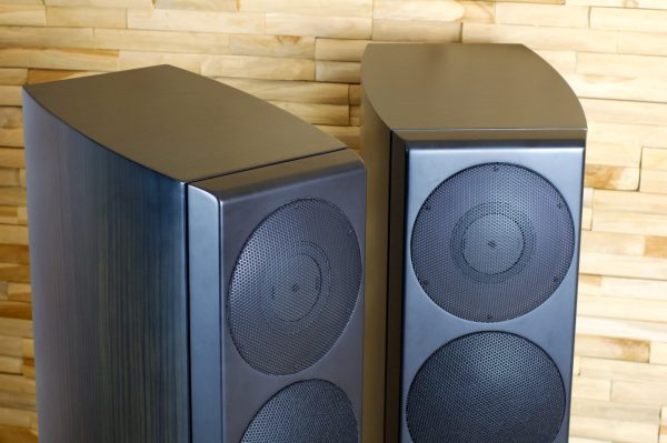 Naim Ovator S-600 - Zebrano - Image 6