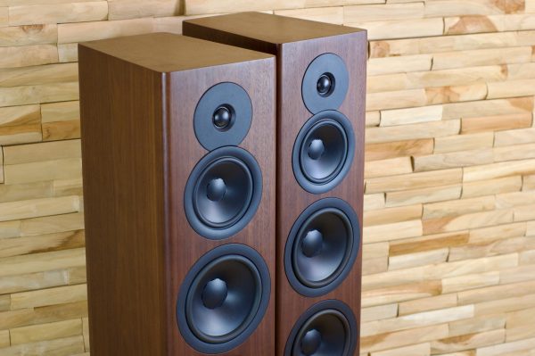 Dynaudio Evoke 50 - walnut, ex demonstration - Image 6