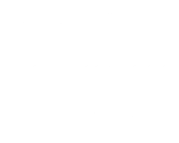 Innuos STREAM1 - Image 4